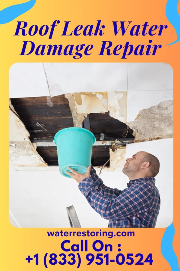 Roof Leak Water Damage Repair in Aspen Park, CO